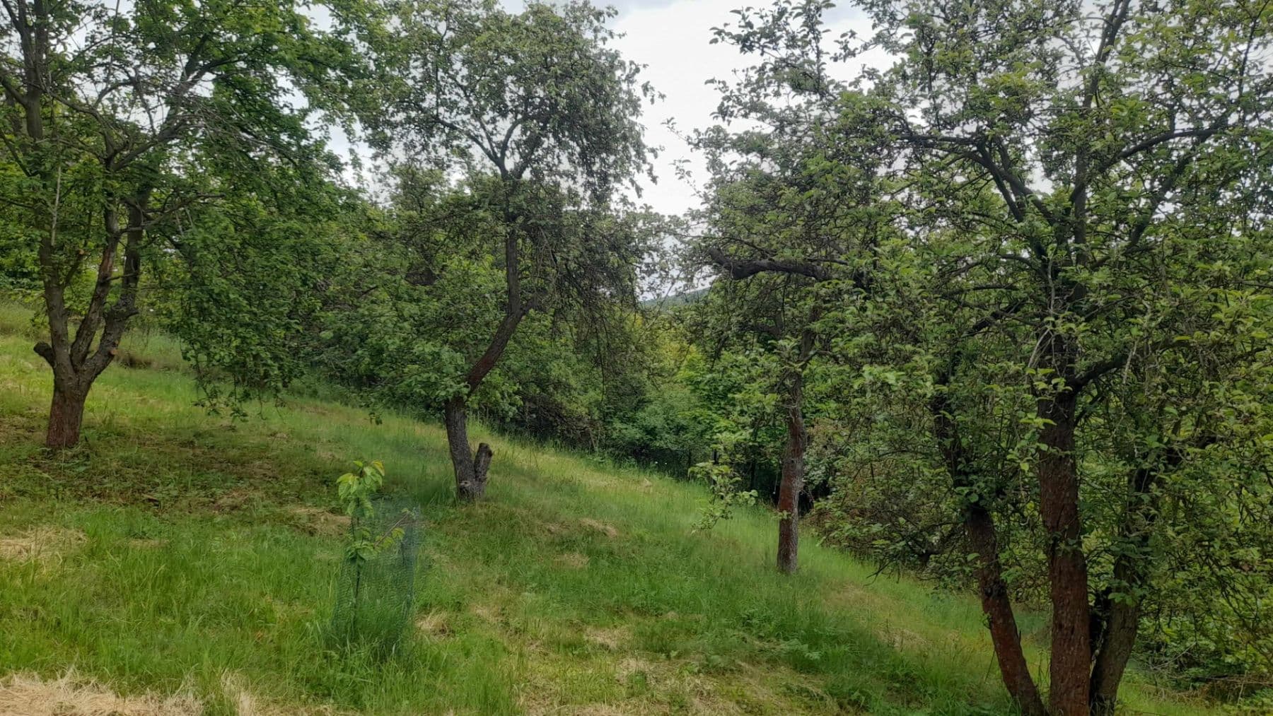 plot for sale, 227 m², Na Stráni, Krušovice, Středočeský Region plot for sale, 227 m², Na Stráni, Krušovice, Středočeský Region