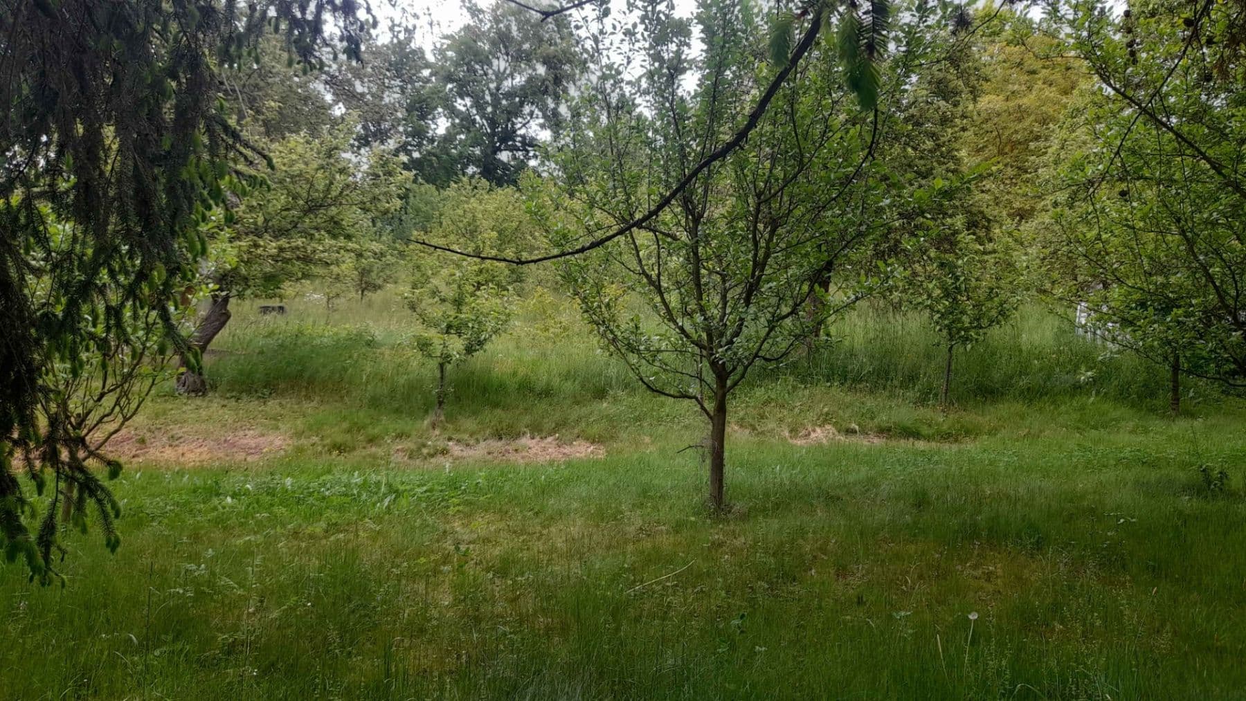 plot for sale, 227 m², Na Stráni, Krušovice, Středočeský Region plot for sale, 227 m², Na Stráni, Krušovice, Středočeský Region