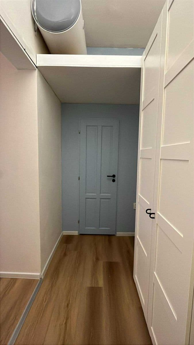 1 bedroom with open-plan kitchen flat to rent, 42 m², Rostislavova, Prague, Prague 1 bedroom with open-plan kitchen flat to rent, 42 m², Rostislavova, Prague, Prague