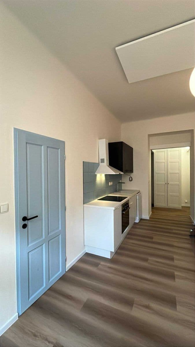 1 bedroom with open-plan kitchen flat to rent, 42 m², Rostislavova, Prague, Prague 1 bedroom with open-plan kitchen flat to rent, 42 m², Rostislavova, Prague, Prague