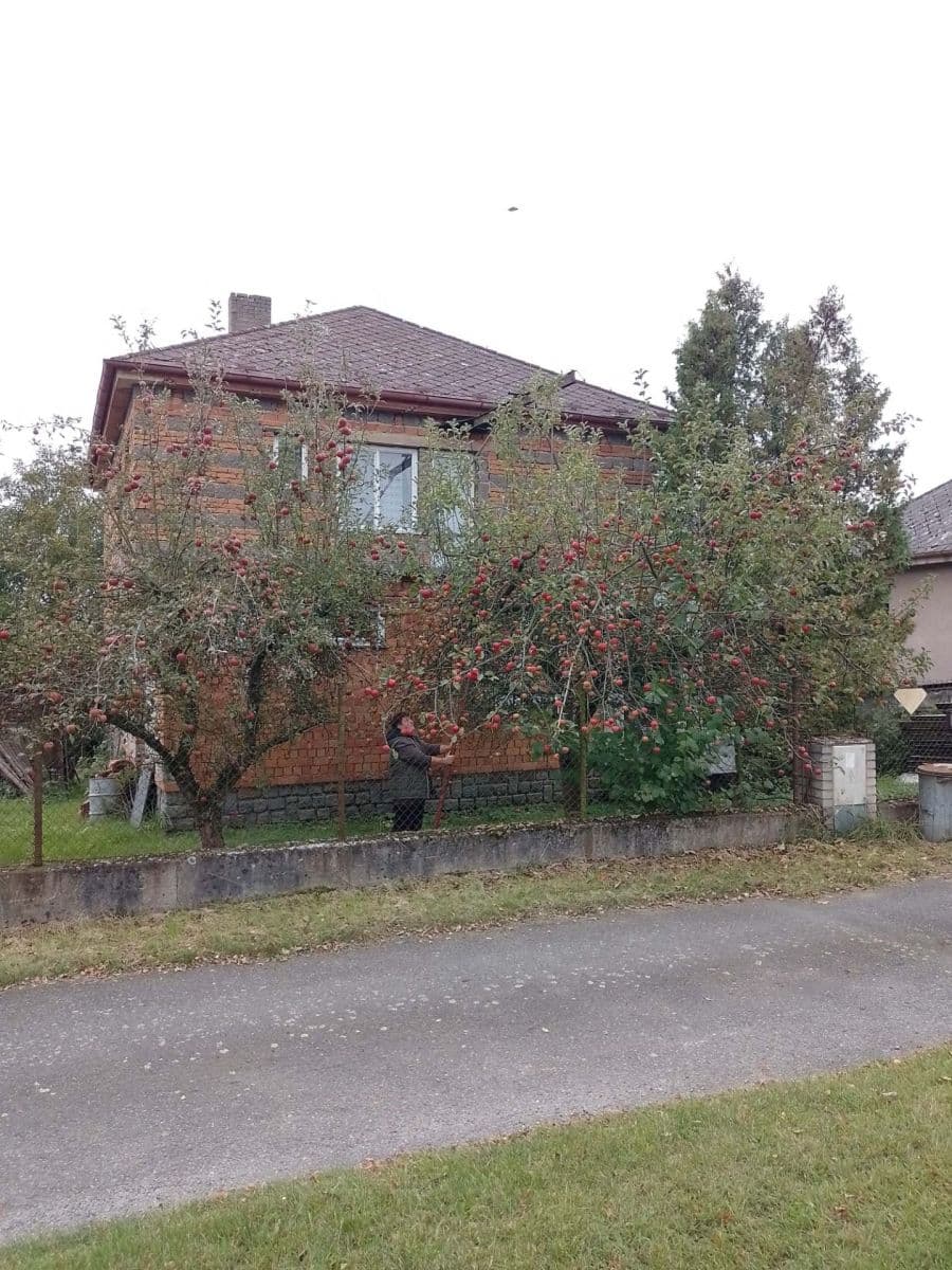 house for sale, 230 m², Čestín, Středočeský Region house for sale, 230 m², Čestín, Středočeský Region