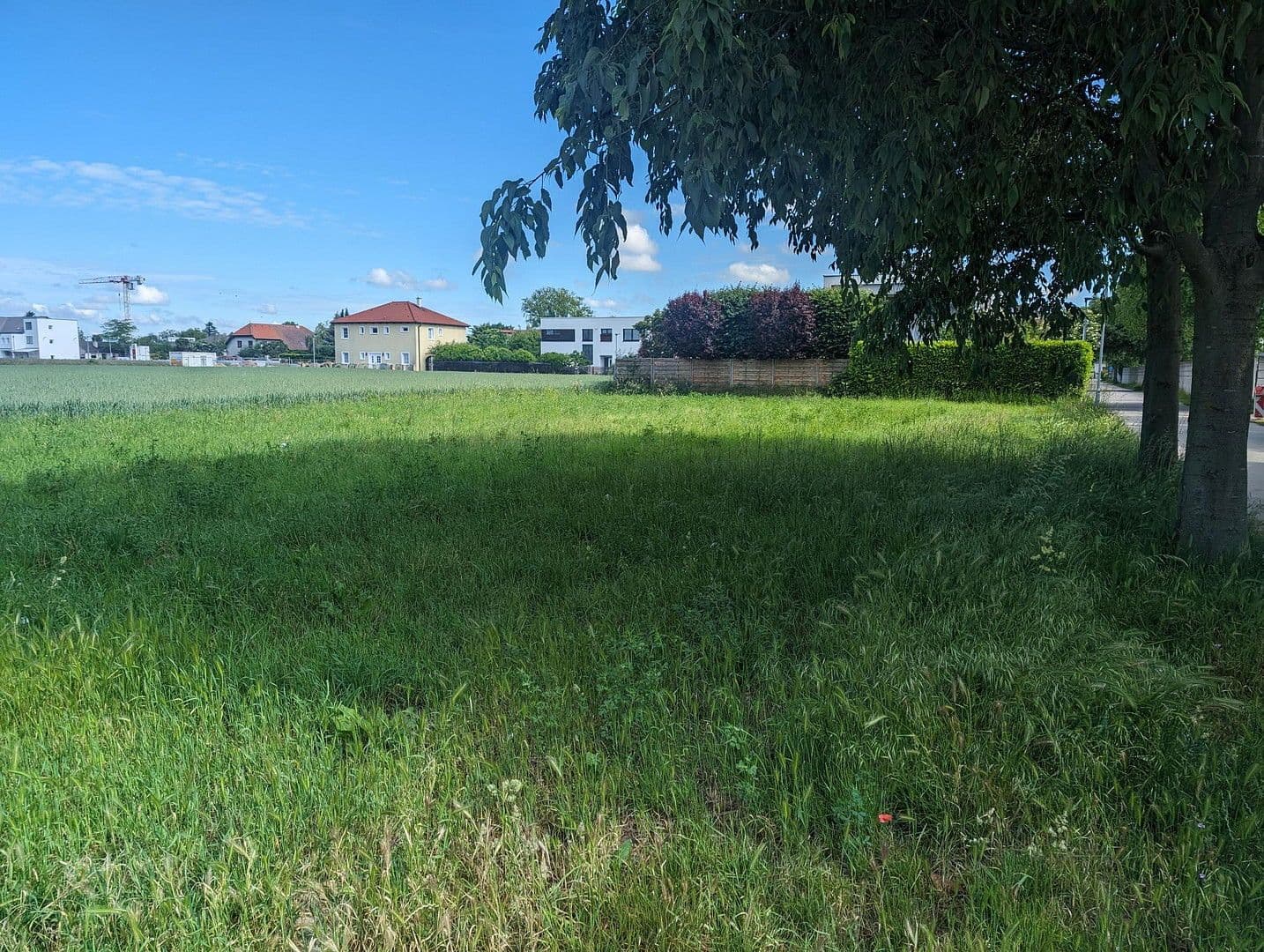 plot for sale, 650 m², Kuhngasse 25, Gerasdorf, Lower Austria plot for sale, 650 m², Kuhngasse 25, Gerasdorf, Lower Austria