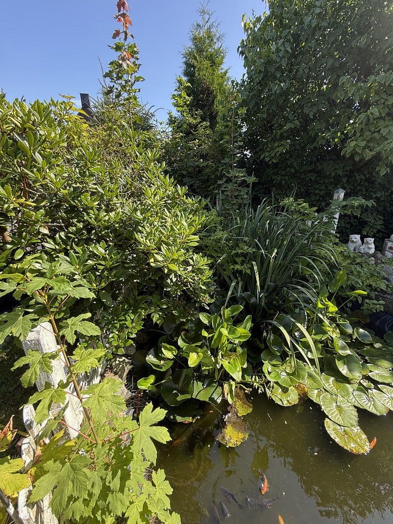 house for sale, 120 m², Süderlügum, Schleswig-Holstein house for sale, 120 m², Süderlügum, Schleswig-Holstein