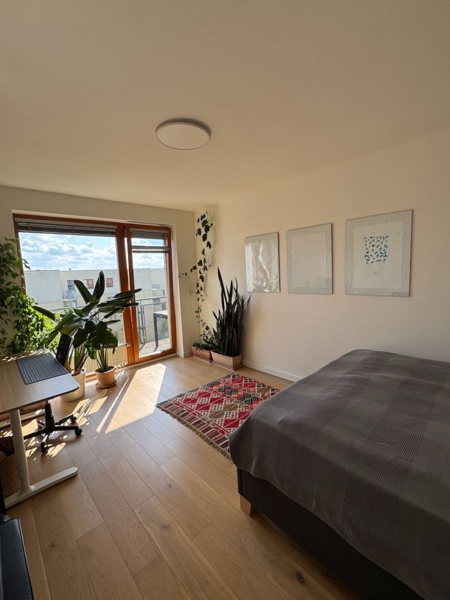 1 bedroom with open-plan kitchen flat for sale, 50 m², Univerzitní, Prague, Prague 1 bedroom with open-plan kitchen flat for sale, 50 m², Univerzitní, Prague, Prague