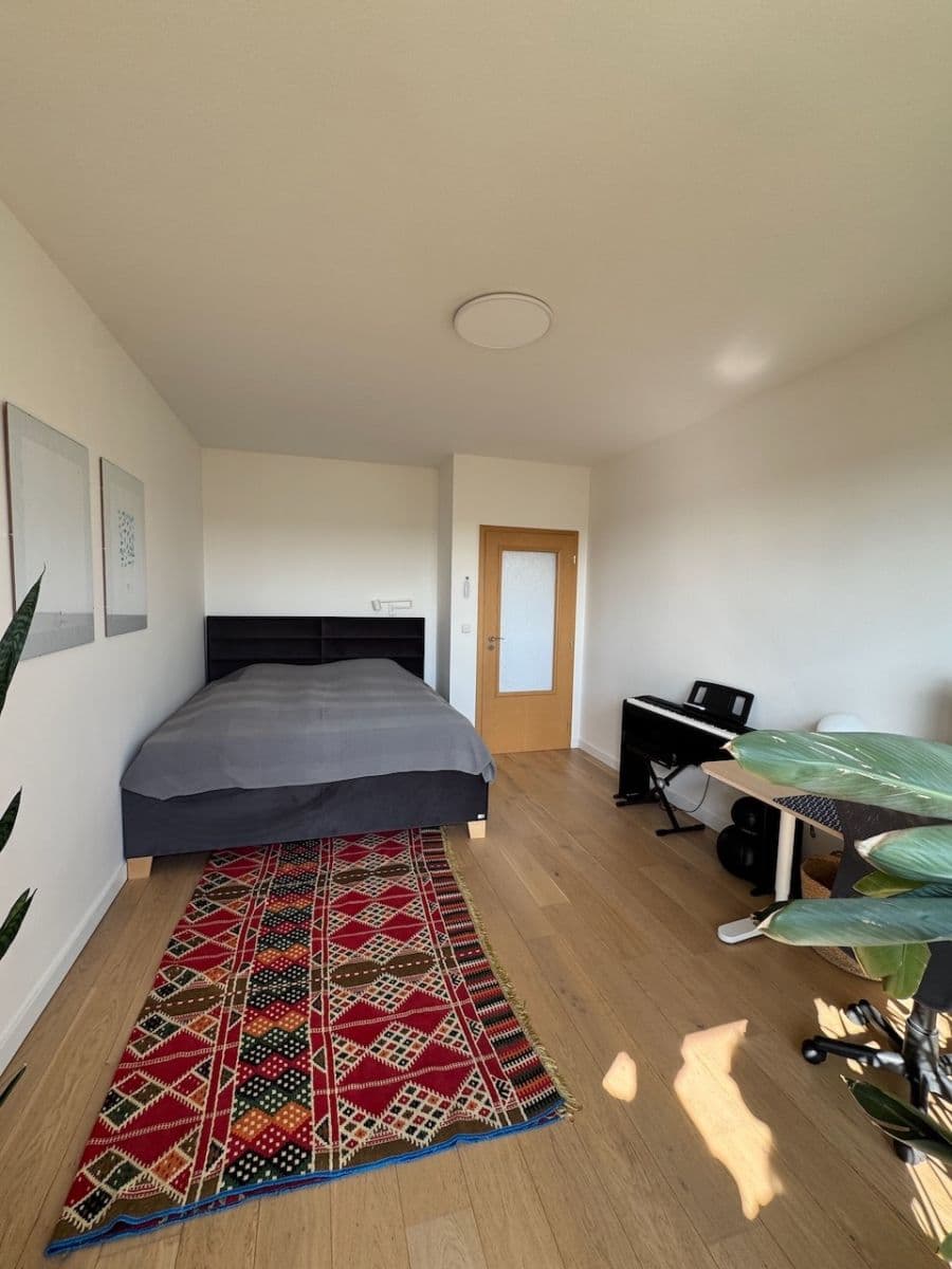 1 bedroom with open-plan kitchen flat for sale, 50 m², Univerzitní, Prague, Prague 1 bedroom with open-plan kitchen flat for sale, 50 m², Univerzitní, Prague, Prague