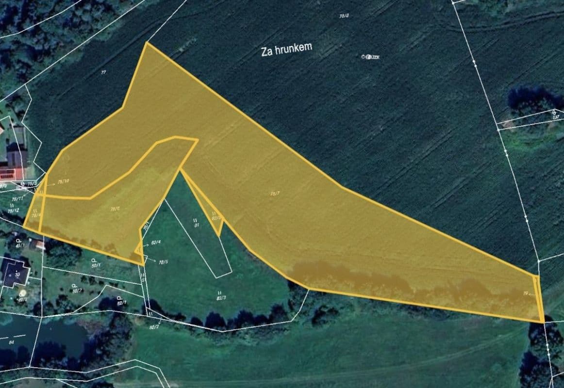 plot for sale, 11,585 m², Hrazany, Jihočeský Region plot for sale, 11,585 m², Hrazany, Jihočeský Region