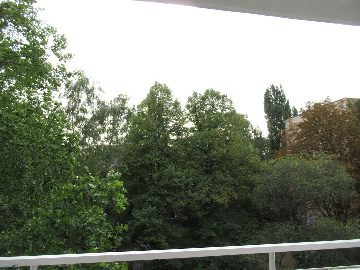 1 bedroom flat to rent, 45 m², Berlin, Berlin 1 bedroom flat to rent, 45 m², Berlin, Berlin