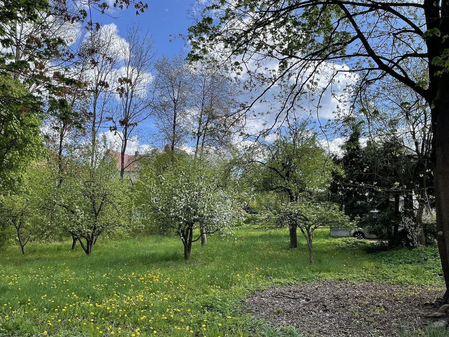 house for sale, 369 m², Harztor, Thuringia house for sale, 369 m², Harztor, Thuringia