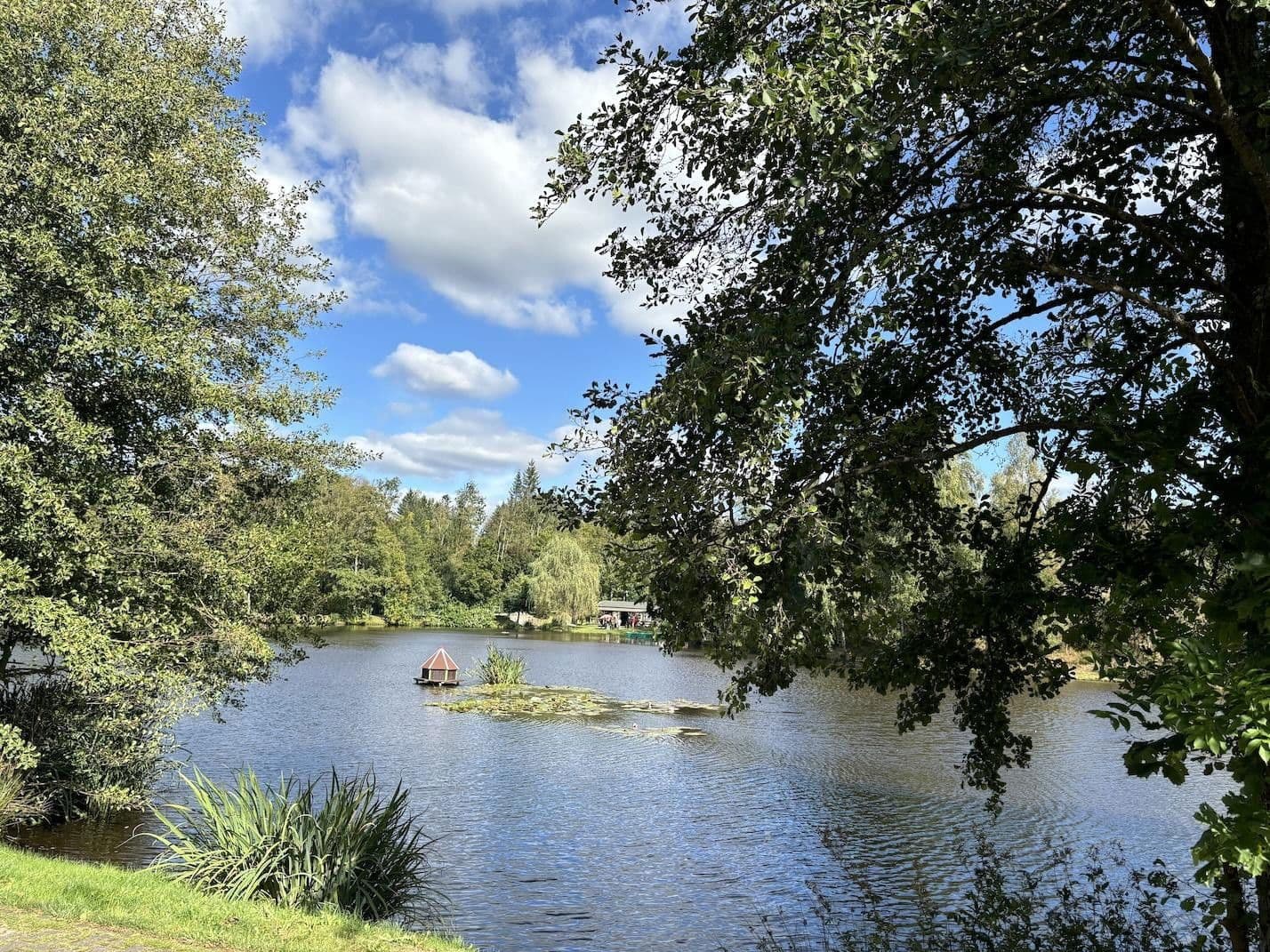 house for sale, 369 m², Harztor, Thuringia house for sale, 369 m², Harztor, Thuringia