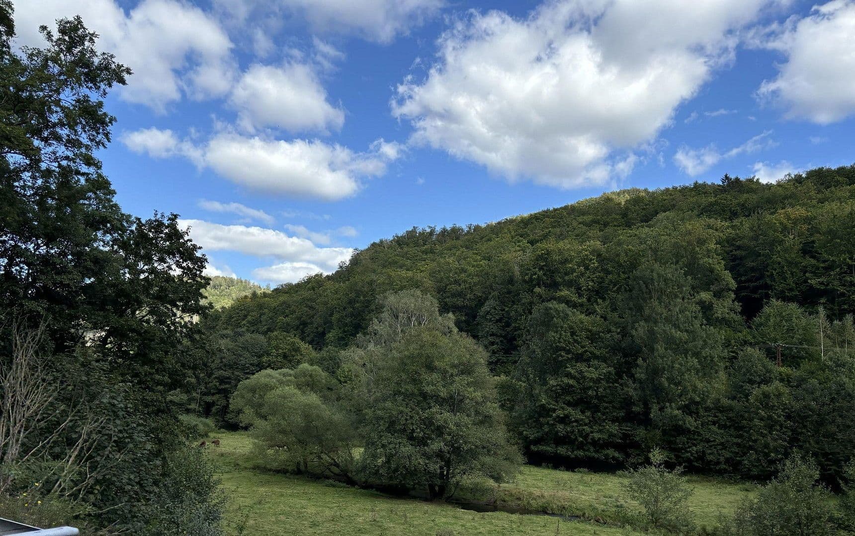 house for sale, 369 m², Harztor, Thuringia house for sale, 369 m², Harztor, Thuringia