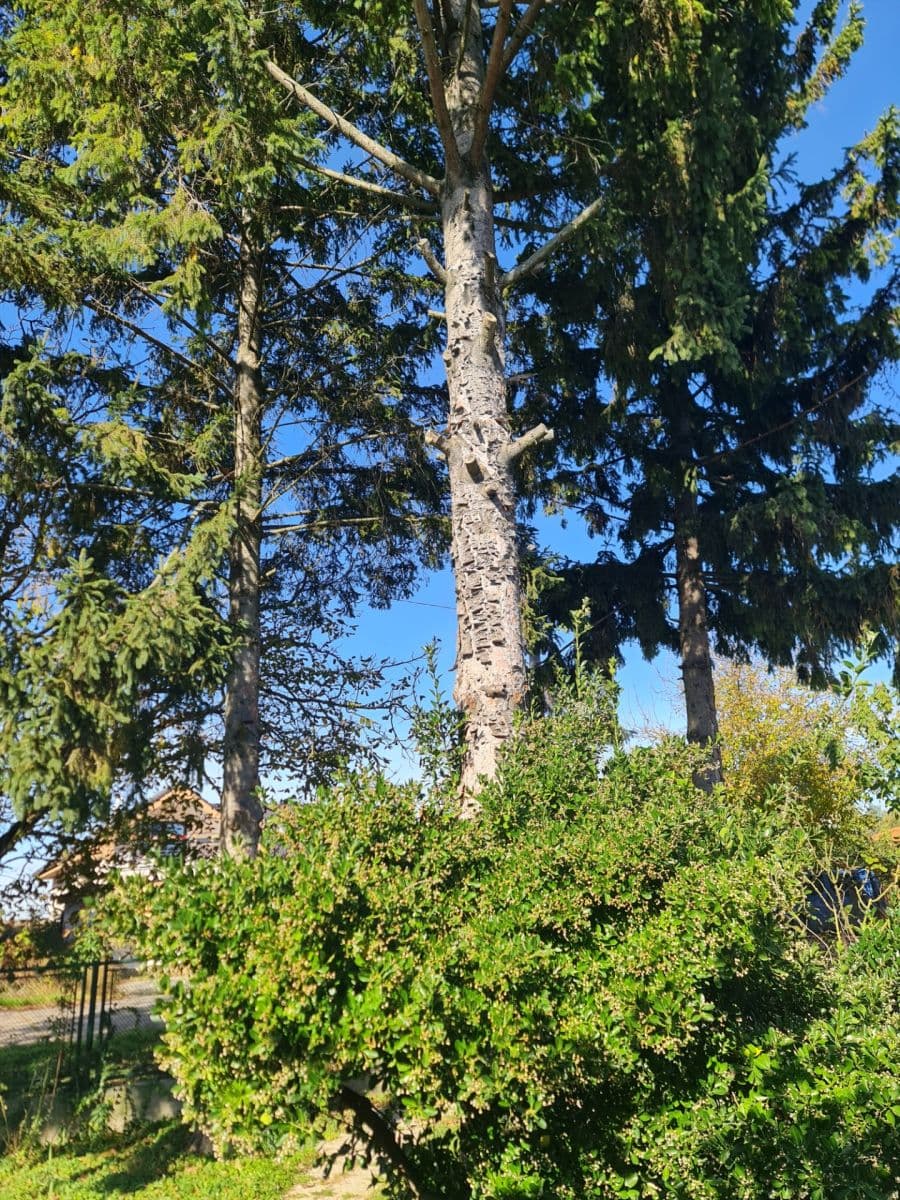 recreational property for sale, 200 m², Vojka nad Dunajom, Trnavský Region recreational property for sale, 200 m², Vojka nad Dunajom, Trnavský Region