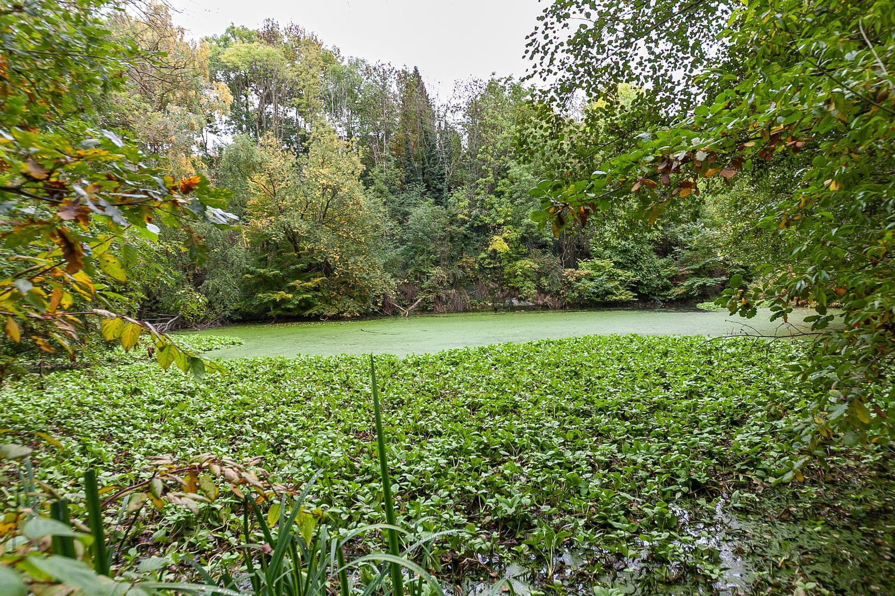 house for sale, 55 m², Mšeno, Středočeský Region house for sale, 55 m², Mšeno, Středočeský Region