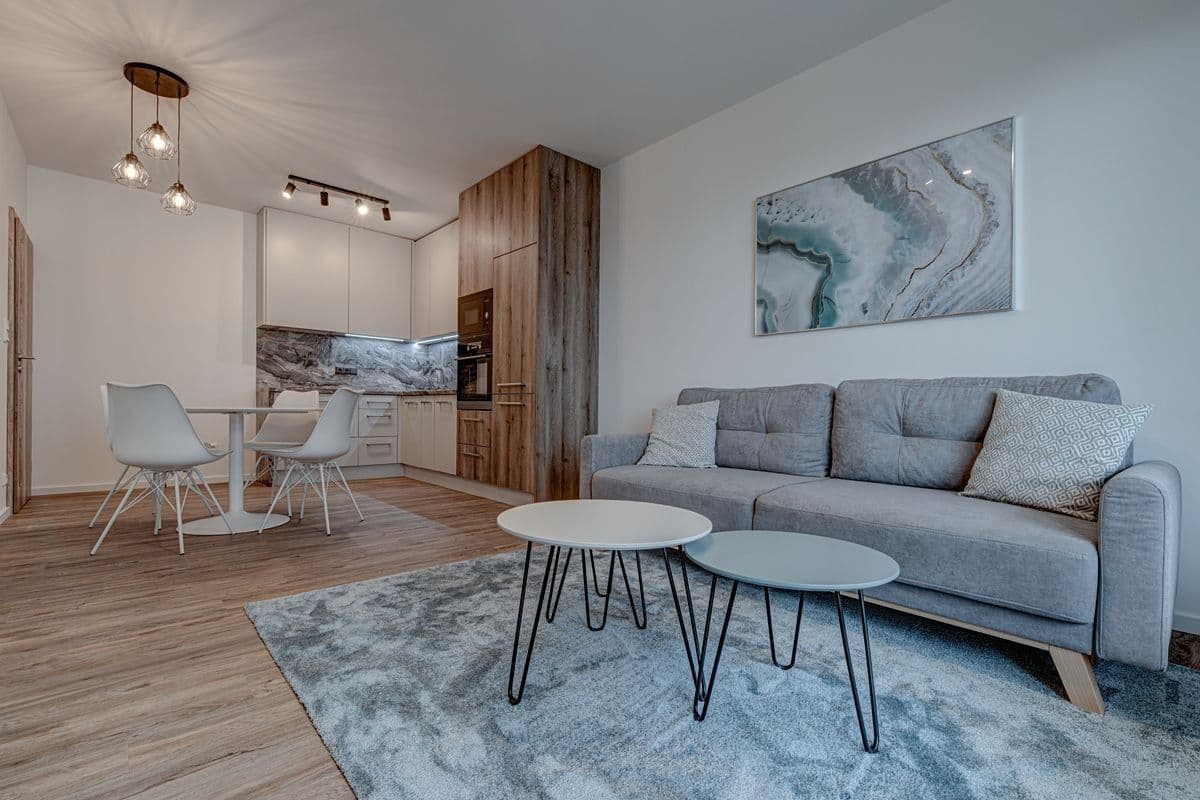 1 bedroom with open-plan kitchen flat for sale, 87 m², Honzíkova, Prague, Prague 1 bedroom with open-plan kitchen flat for sale, 87 m², Honzíkova, Prague, Prague