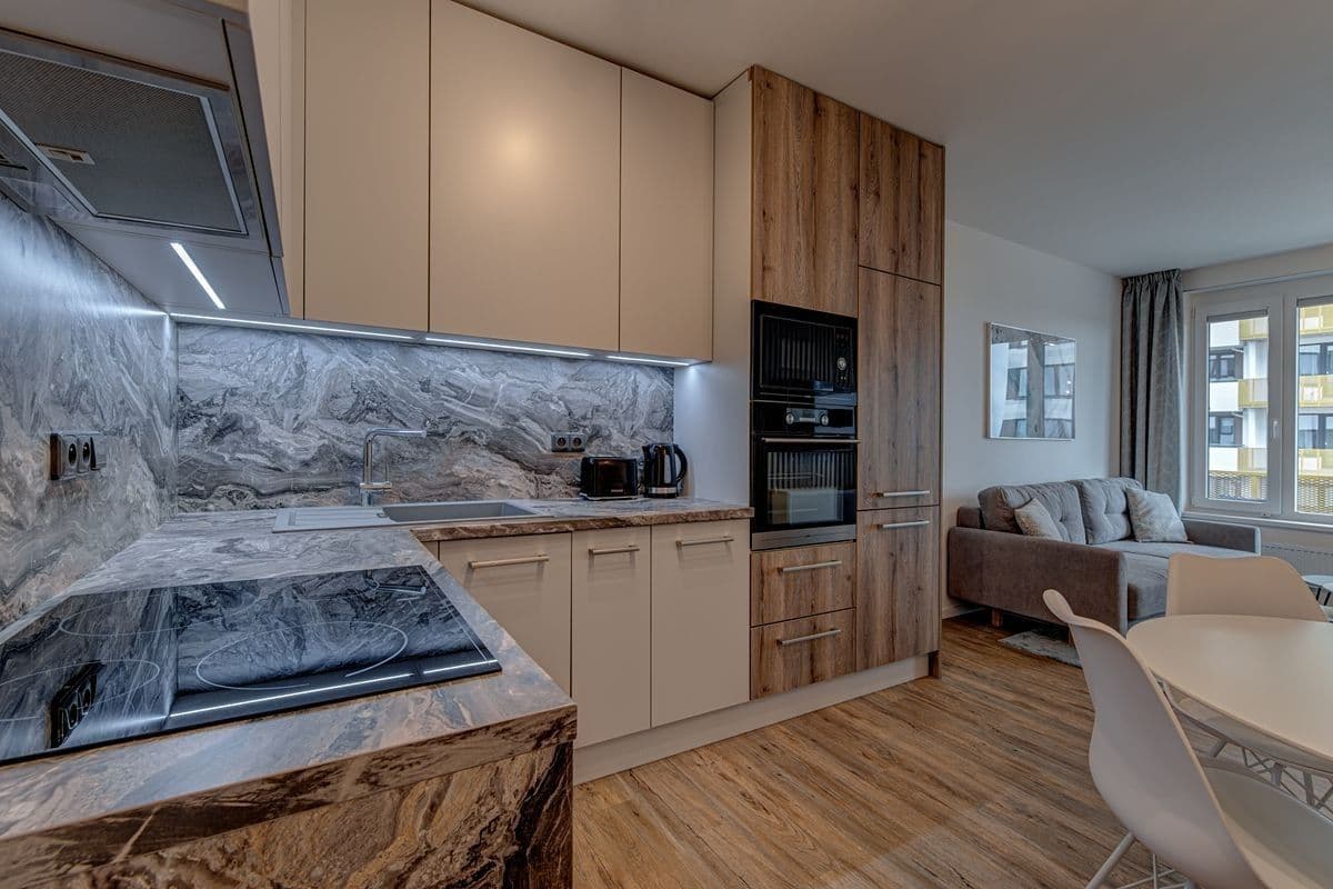 1 bedroom with open-plan kitchen flat for sale, 87 m², Honzíkova, Prague, Prague 1 bedroom with open-plan kitchen flat for sale, 87 m², Honzíkova, Prague, Prague