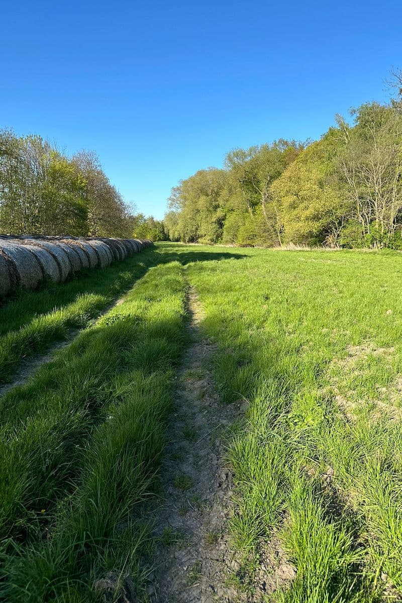 plot for sale, 2,145 m², Doľany, Bratislavský Region plot for sale, 2,145 m², Doľany, Bratislavský Region