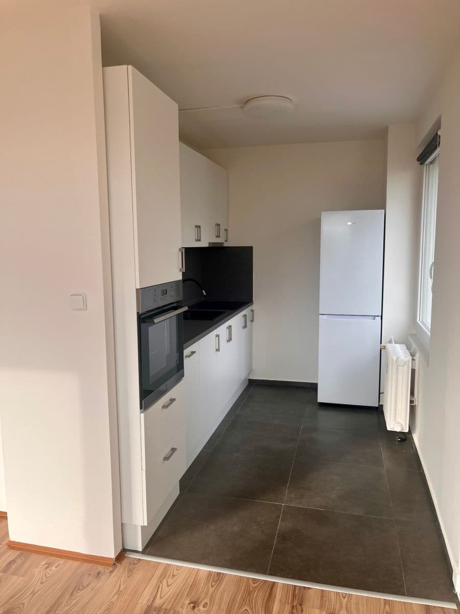 1 bedroom with open-plan kitchen flat to rent, 55 m², Jablonecká, Prague, Prague 1 bedroom with open-plan kitchen flat to rent, 55 m², Jablonecká, Prague, Prague