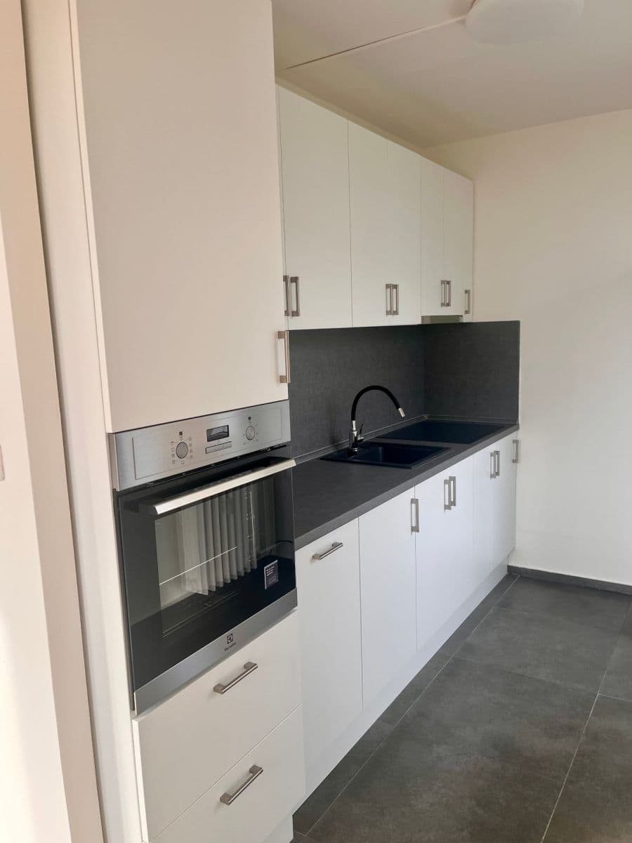 1 bedroom with open-plan kitchen flat to rent, 55 m², Jablonecká, Prague, Prague 1 bedroom with open-plan kitchen flat to rent, 55 m², Jablonecká, Prague, Prague