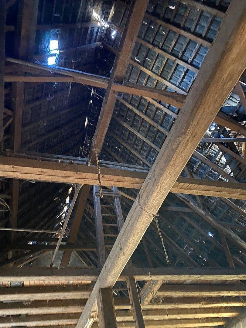 plot for sale, 450 m², Frankenthal Eppstein, Rhineland-Palatinate plot for sale, 450 m², Frankenthal Eppstein, Rhineland-Palatinate