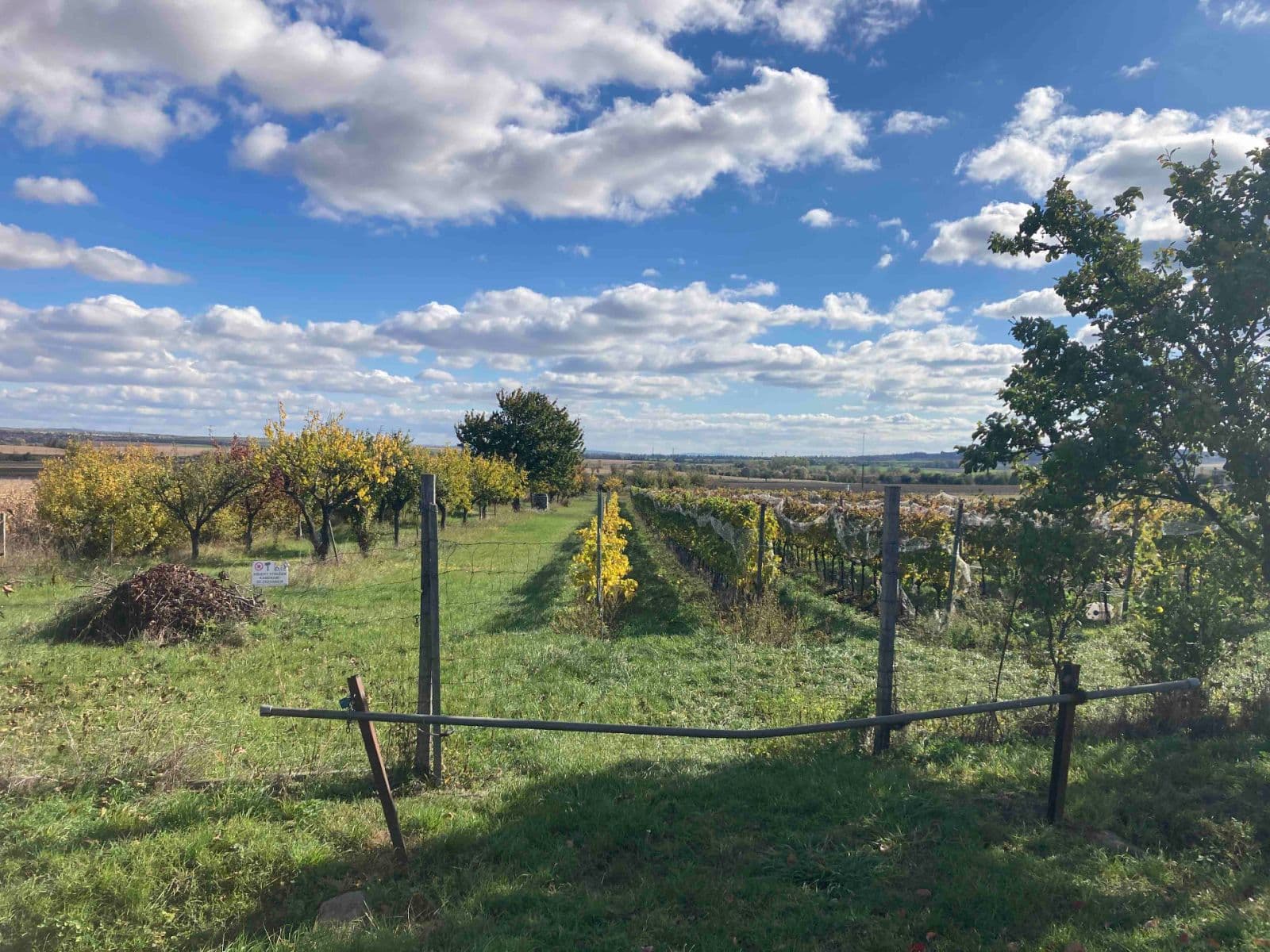 plot for sale, 5,111 m², Šakvice, Jihomoravský Region plot for sale, 5,111 m², Šakvice, Jihomoravský Region