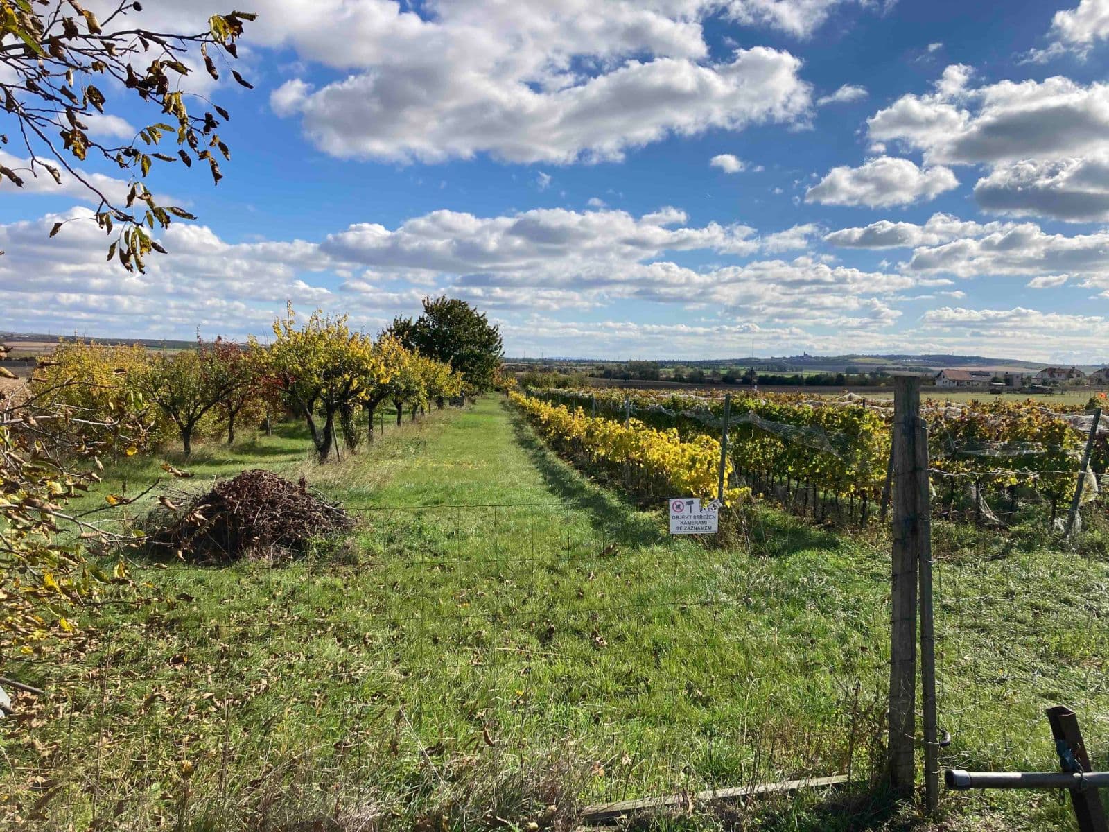 plot for sale, 5,111 m², Šakvice, Jihomoravský Region plot for sale, 5,111 m², Šakvice, Jihomoravský Region