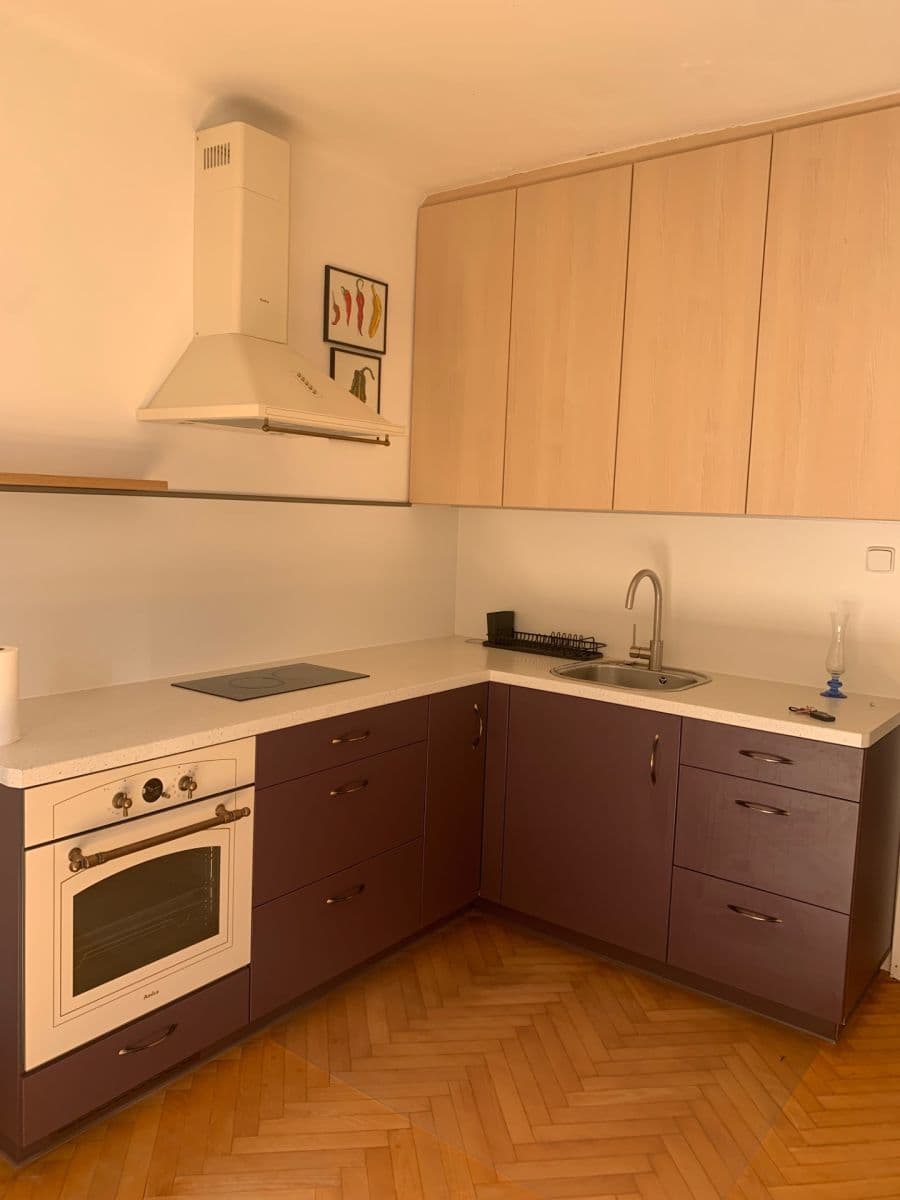1 bedroom with open-plan kitchen flat to rent, 39 m², Žerotínova, Prague, Prague 1 bedroom with open-plan kitchen flat to rent, 39 m², Žerotínova, Prague, Prague