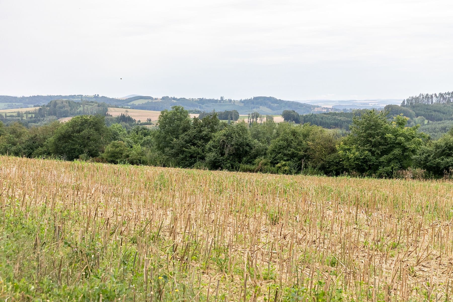 plot for sale, 1,800 m², Podveky, Středočeský Region plot for sale, 1,800 m², Podveky, Středočeský Region