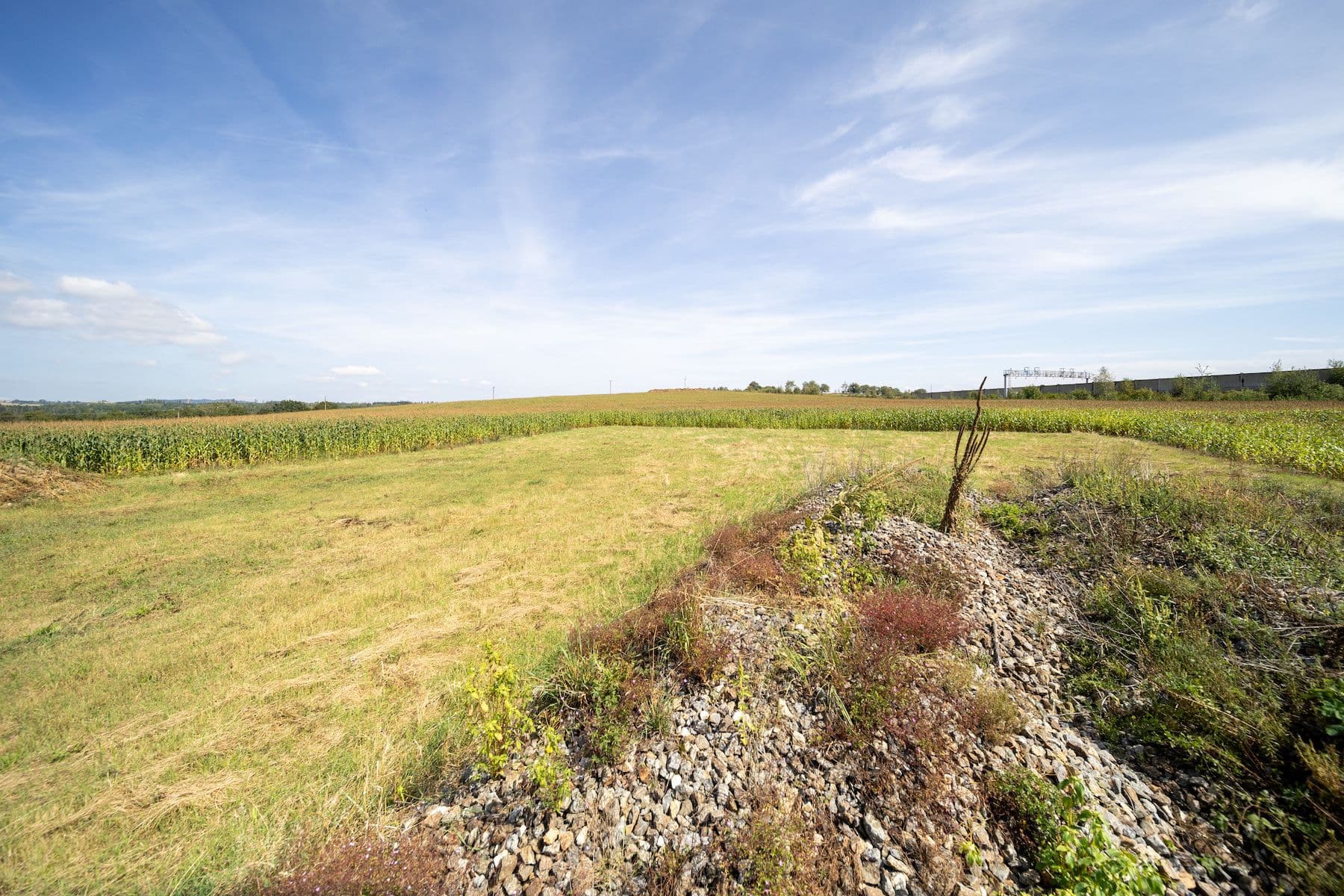 plot for sale, 6,770 m², Sudoměřice u Tábora, Jihočeský Region plot for sale, 6,770 m², Sudoměřice u Tábora, Jihočeský Region