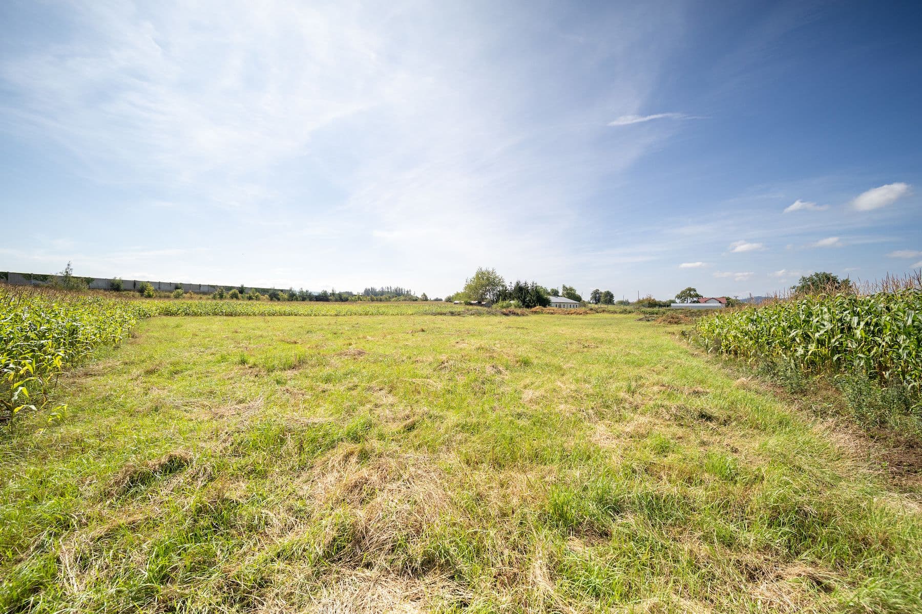 plot for sale, 6,770 m², Sudoměřice u Tábora, Jihočeský Region plot for sale, 6,770 m², Sudoměřice u Tábora, Jihočeský Region