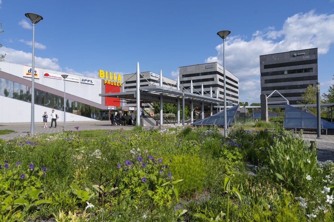 1 bedroom with open-plan kitchen flat to rent, 50 m², Čakovická, Prague, Prague 1 bedroom with open-plan kitchen flat to rent, 50 m², Čakovická, Prague, Prague