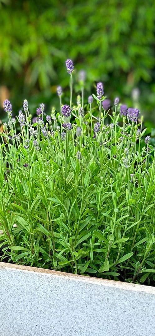 2 bedroom flat for sale, 60 m², Druidenweg 12, Ebermannstadt, Bavaria 2 bedroom flat for sale, 60 m², Druidenweg 12, Ebermannstadt, Bavaria