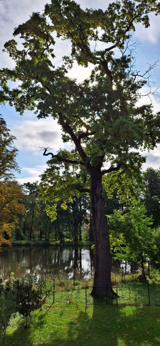 plot for sale, 887 m², Kojetice, Středočeský Region plot for sale, 887 m², Kojetice, Středočeský Region