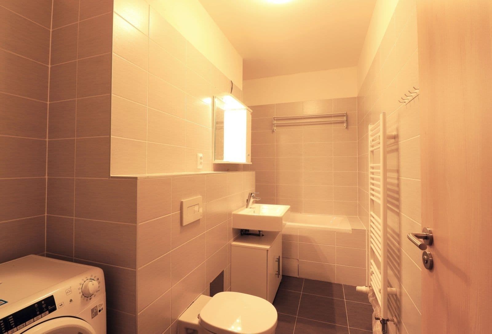 1 bedroom with open-plan kitchen flat to rent, 64 m², Devonská, Prague, Prague 1 bedroom with open-plan kitchen flat to rent, 64 m², Devonská, Prague, Prague