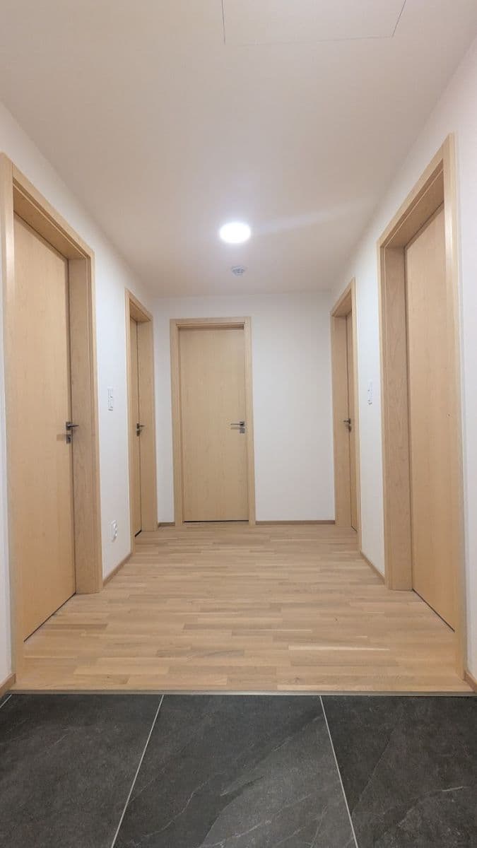 3 bedroom with open-plan kitchen flat to rent, 110 m², Toyen, Prague, Prague 3 bedroom with open-plan kitchen flat to rent, 110 m², Toyen, Prague, Prague