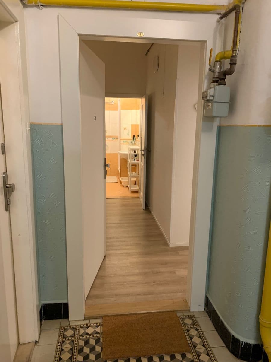 1 bedroom with open-plan kitchen flat to rent, 39 m², Za Poštou, Prague, Prague 1 bedroom with open-plan kitchen flat to rent, 39 m², Za Poštou, Prague, Prague