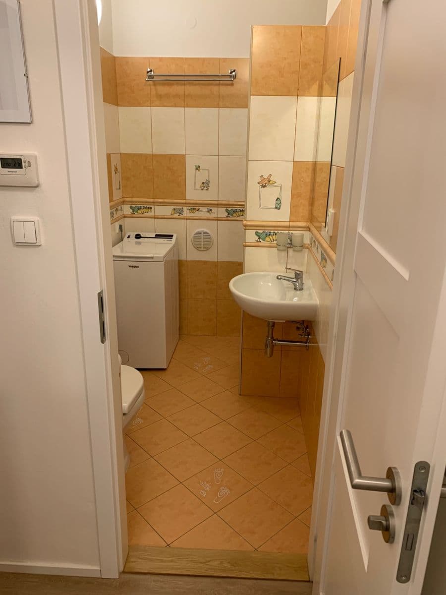 1 bedroom with open-plan kitchen flat to rent, 39 m², Za Poštou, Prague, Prague 1 bedroom with open-plan kitchen flat to rent, 39 m², Za Poštou, Prague, Prague