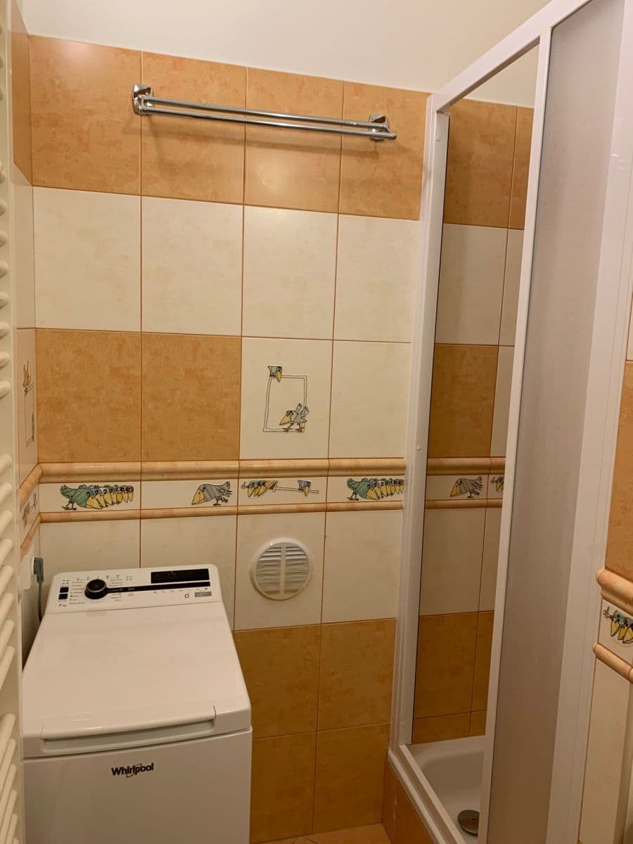 1 bedroom with open-plan kitchen flat to rent, 39 m², Za Poštou, Prague, Prague 1 bedroom with open-plan kitchen flat to rent, 39 m², Za Poštou, Prague, Prague