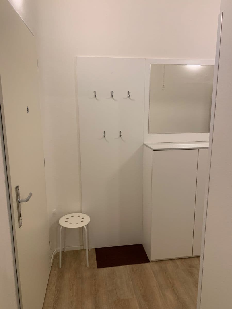 1 bedroom with open-plan kitchen flat to rent, 39 m², Za Poštou, Prague, Prague 1 bedroom with open-plan kitchen flat to rent, 39 m², Za Poštou, Prague, Prague