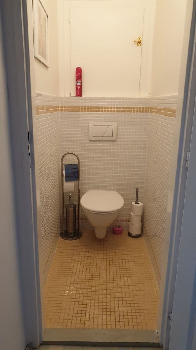 1 bedroom with open-plan kitchen flat to rent, 47 m², Bělohorská, Prague, Prague 1 bedroom with open-plan kitchen flat to rent, 47 m², Bělohorská, Prague, Prague