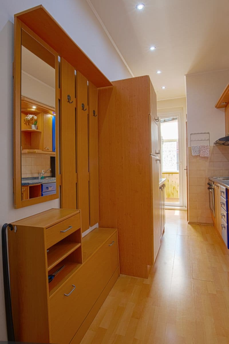 1 bedroom with open-plan kitchen flat to rent, 55 m², Hartigova, Prague, Prague 1 bedroom with open-plan kitchen flat to rent, 55 m², Hartigova, Prague, Prague