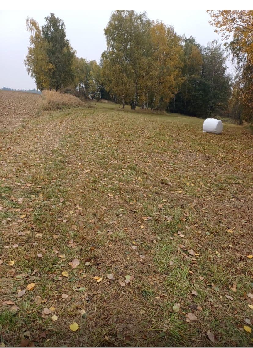plot for sale, 6,627 m², 134, Popelín, Jihočeský Region plot for sale, 6,627 m², 134, Popelín, Jihočeský Region