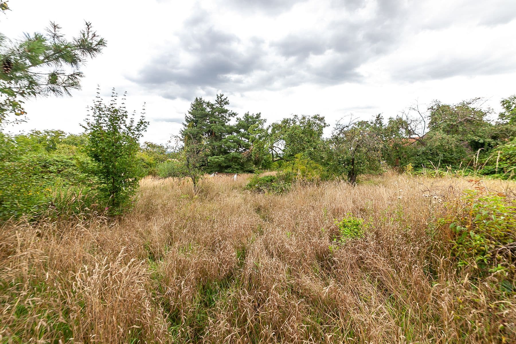 plot for sale, 3,823 m², Dolní Beřkovice, Středočeský Region plot for sale, 3,823 m², Dolní Beřkovice, Středočeský Region