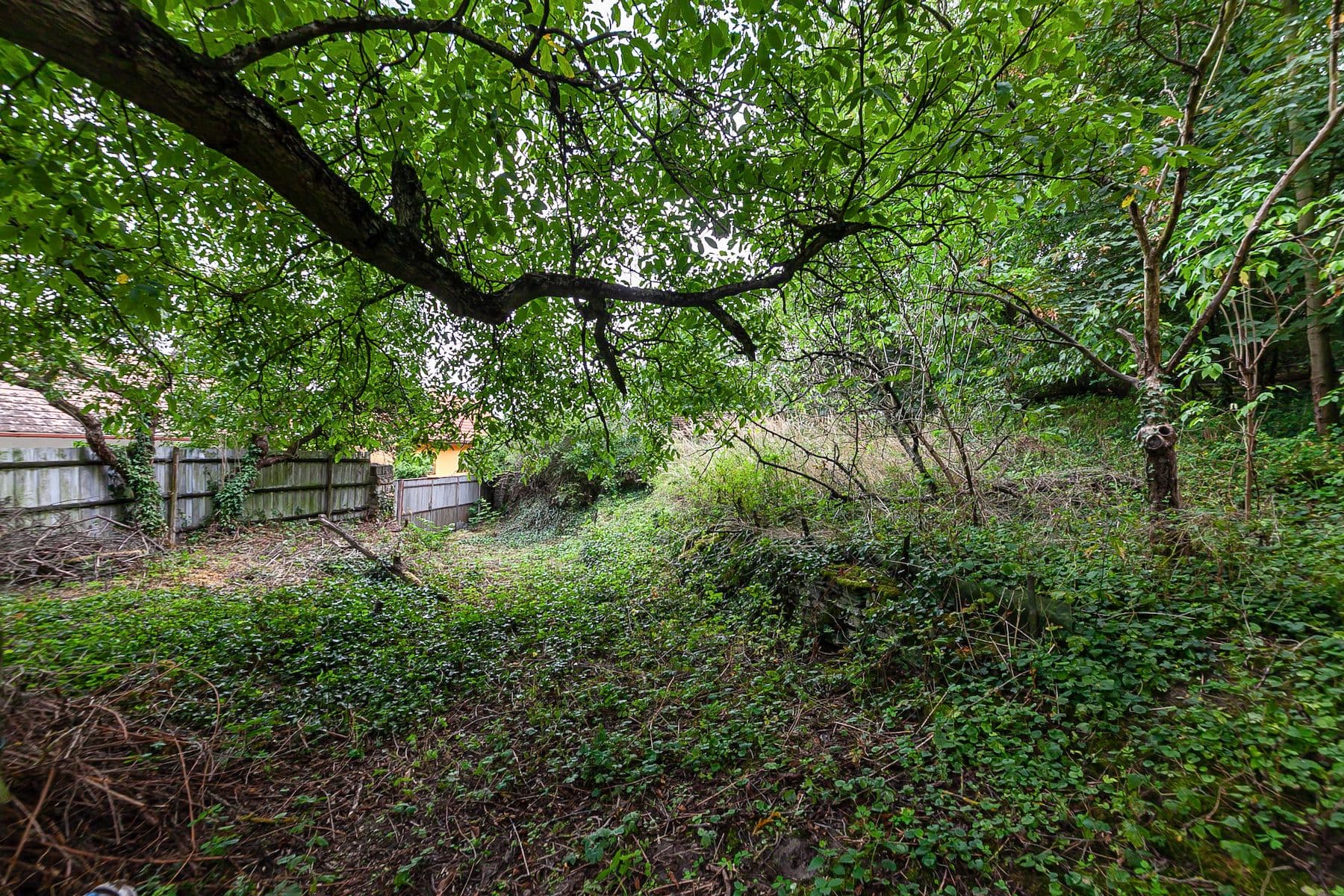 recreational property for sale, 3,645 m², Dolní Beřkovice, Středočeský Region recreational property for sale, 3,645 m², Dolní Beřkovice, Středočeský Region