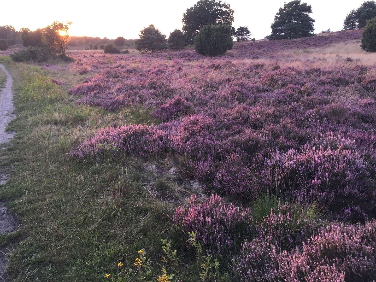 3 bedroom flat for sale, 91 m², Lehmkuhle 1, Undeloh, Lower Saxony 3 bedroom flat for sale, 91 m², Lehmkuhle 1, Undeloh, Lower Saxony