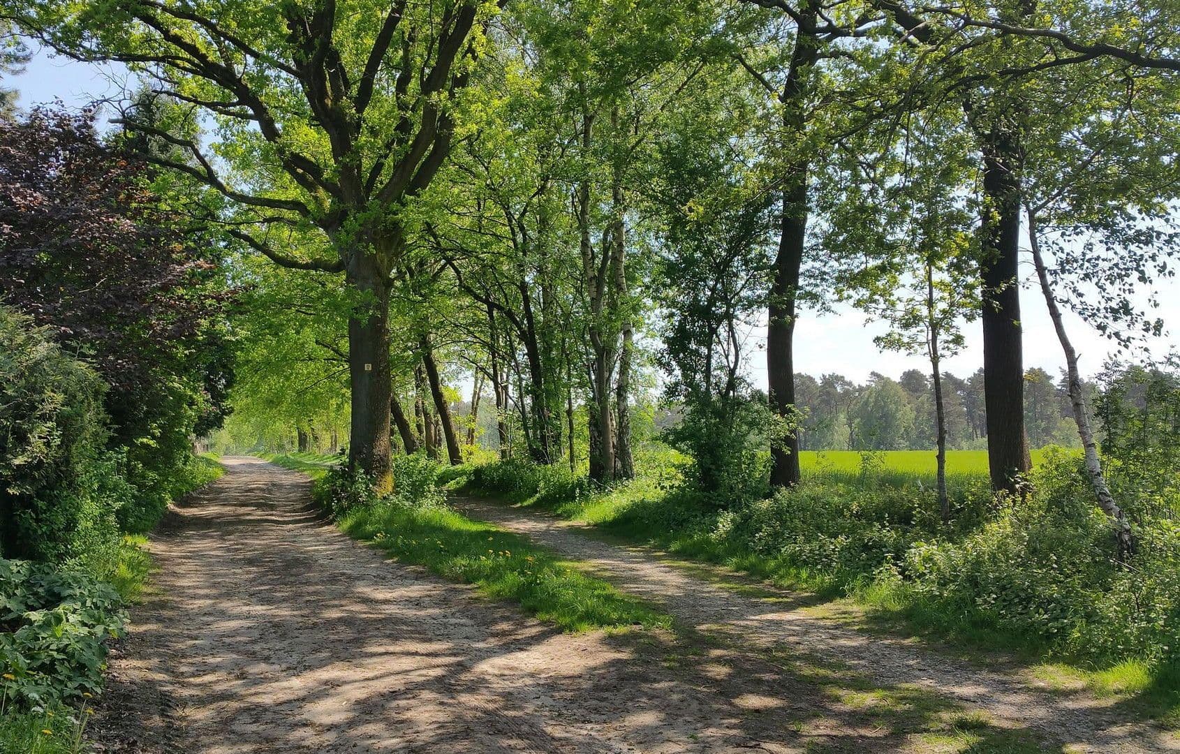 3 bedroom flat for sale, 91 m², Lehmkuhle 1, Undeloh, Lower Saxony 3 bedroom flat for sale, 91 m², Lehmkuhle 1, Undeloh, Lower Saxony