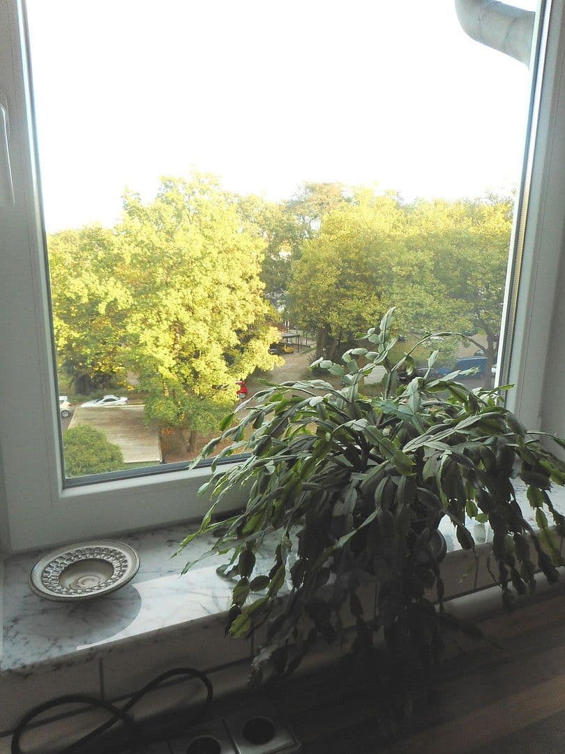 1 bedroom with open-plan kitchen flat to rent, 77 m², Pflugacker 17 b, Hamburg, Hamburg 1 bedroom with open-plan kitchen flat to rent, 77 m², Pflugacker 17 b, Hamburg, Hamburg