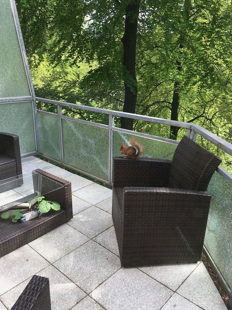 1 bedroom with open-plan kitchen flat to rent, 77 m², Hainholzweg, Hamburg, Hamburg 1 bedroom with open-plan kitchen flat to rent, 77 m², Hainholzweg, Hamburg, Hamburg
