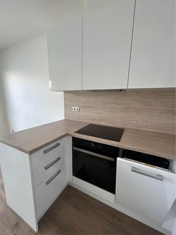 1 bedroom with open-plan kitchen flat to rent, 44 m², Veltruská, Prague, Prague 1 bedroom with open-plan kitchen flat to rent, 44 m², Veltruská, Prague, Prague