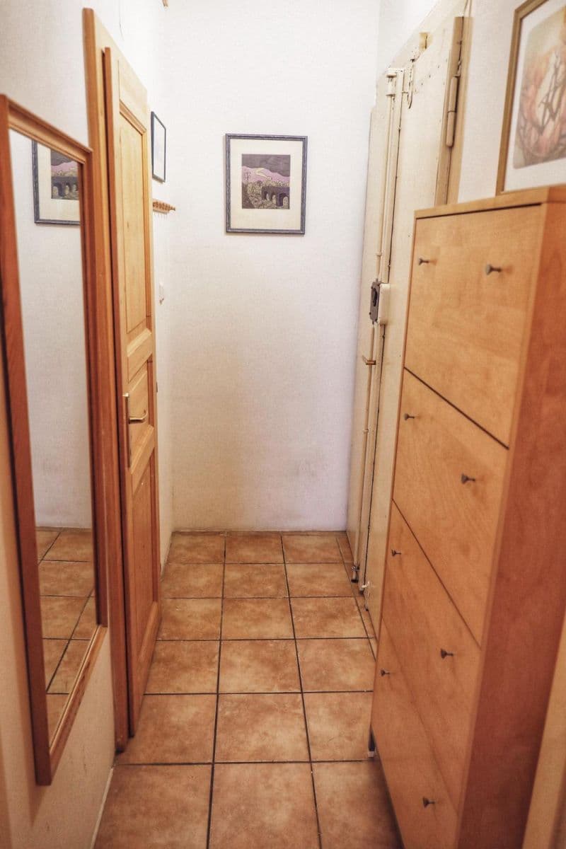 1 bedroom with open-plan kitchen flat to rent, 44 m², Na Královce, Prague, Prague 1 bedroom with open-plan kitchen flat to rent, 44 m², Na Královce, Prague, Prague