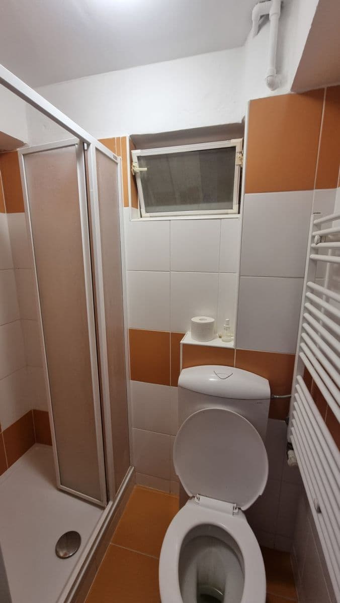 Studio flat to rent, 47 m², Skorkovského, Brno, Jihomoravský Region Studio flat to rent, 47 m², Skorkovského, Brno, Jihomoravský Region