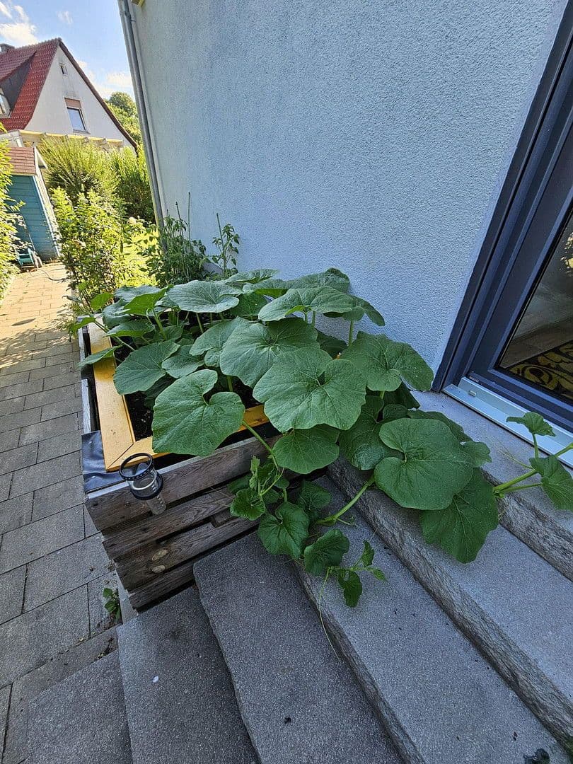 5 bedroom flat for sale, 210 m², Am Steinbach 26, Burgthann, Bavaria 5 bedroom flat for sale, 210 m², Am Steinbach 26, Burgthann, Bavaria